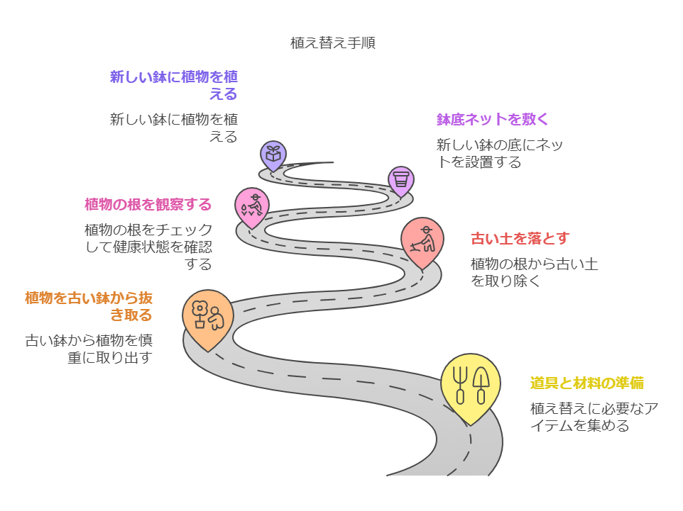 植え替え手順