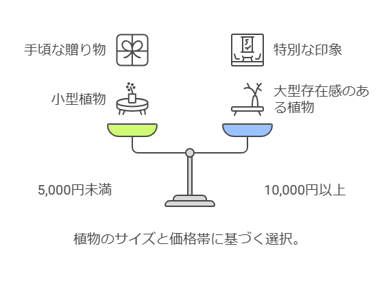 植物のサイズと価格に基づく選択