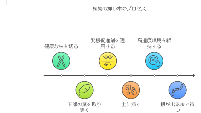 挿し木のステップ