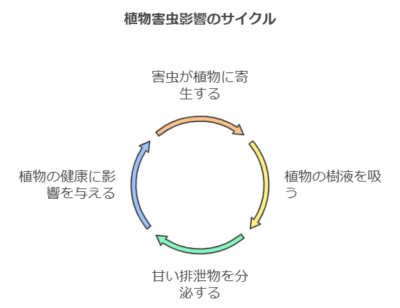 植物につく害虫の影響サイクル