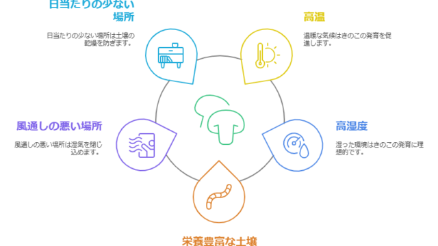 きのこ成長を促進する条件
日当たりが少ない場所、風通しが悪い場所、高温、高湿度