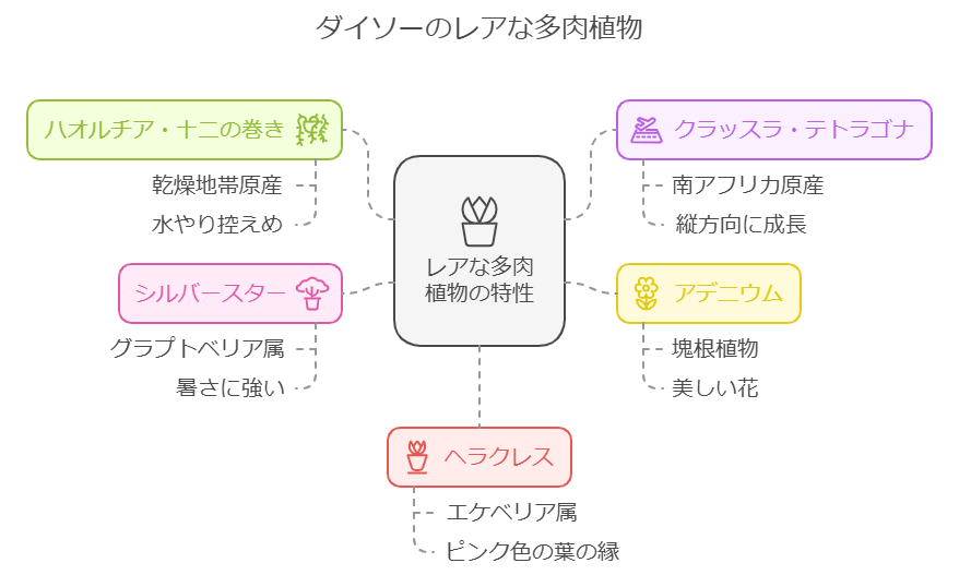 ダイソーのレアな多肉植物