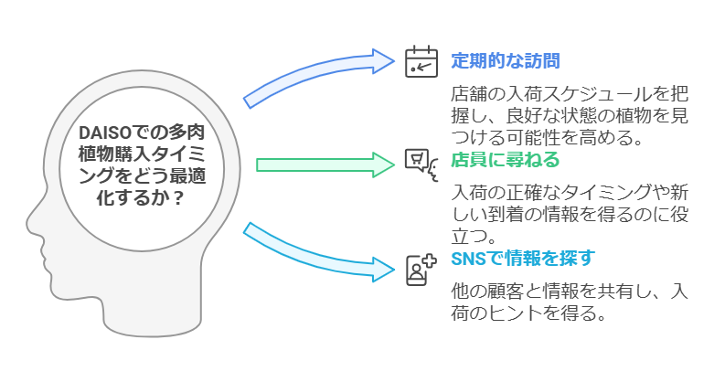 ダイソーでの多肉植物購入タイミング最適化