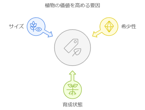 希少価値が高まる要素