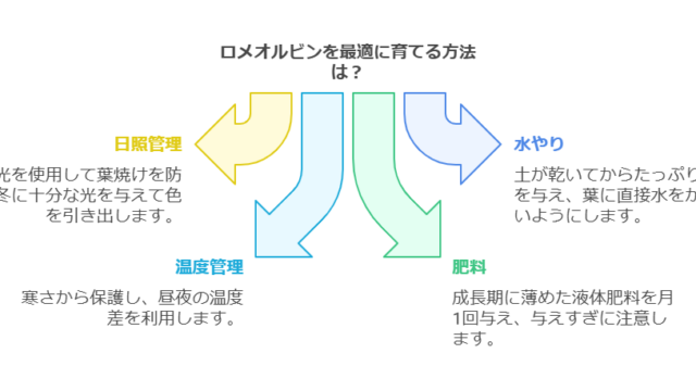 ロべオルビンの育成