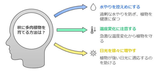 秋の多肉植物を育てる方法は