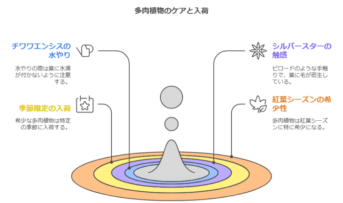 希少な多肉植物の入荷パターンとケア方法