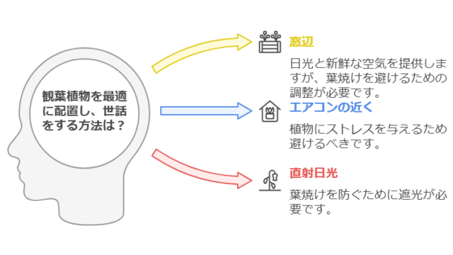 風通しと日光：植物を元気に育てる環境づくり