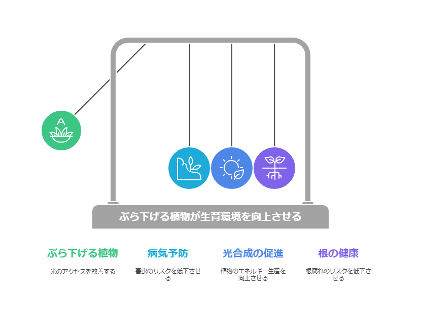 ぶら下げる植物が生育環境を向上させる