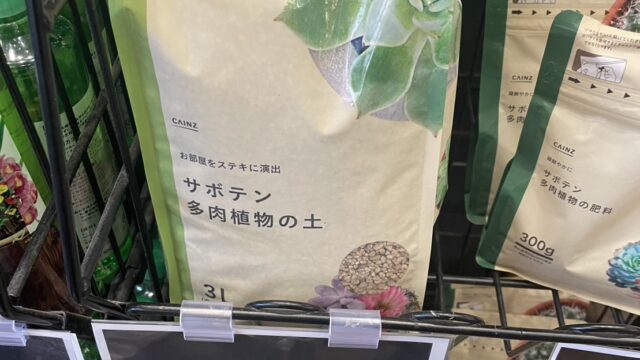 カインズの土多肉植物３L