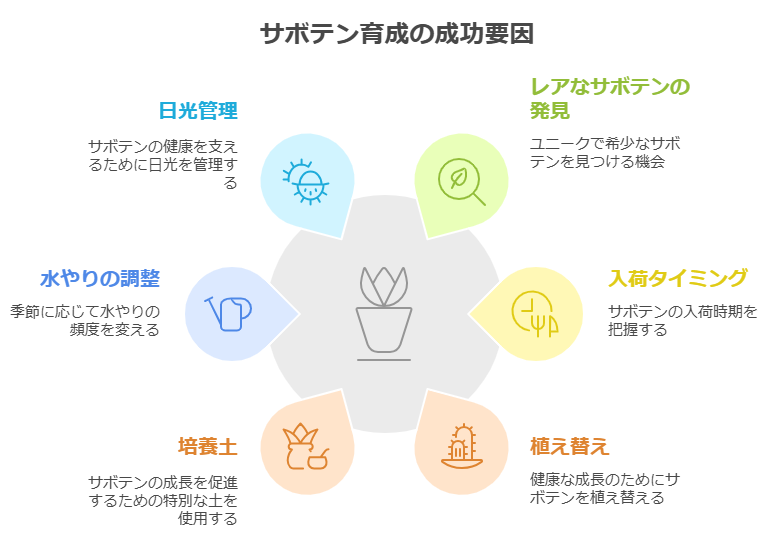 サボテン育成成功要因まとめ