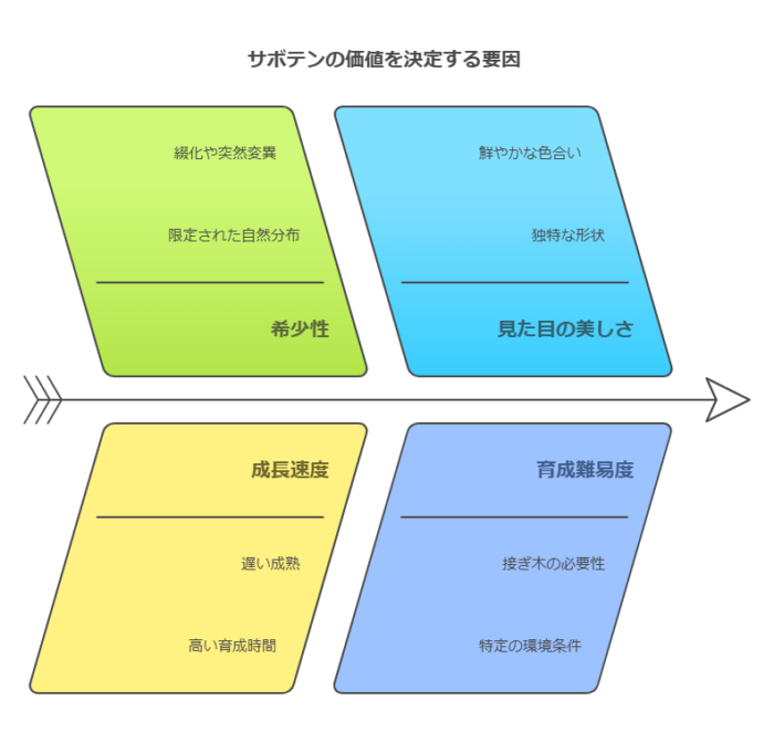 サボテンの価値を決定する要因