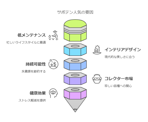 サボテン人気の要因