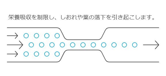 根つまり　図解