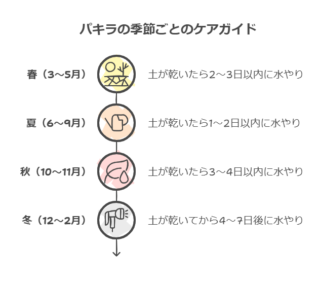 パキラ　季節ごとの水やり