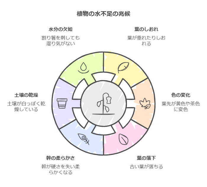 水不足症状まとめ