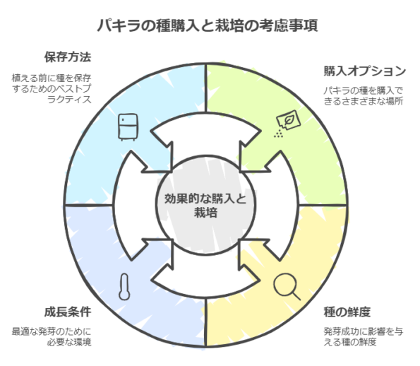 パキラの種購入と栽培の考慮事項