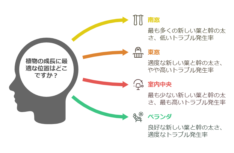 植物の生長に最適な位置