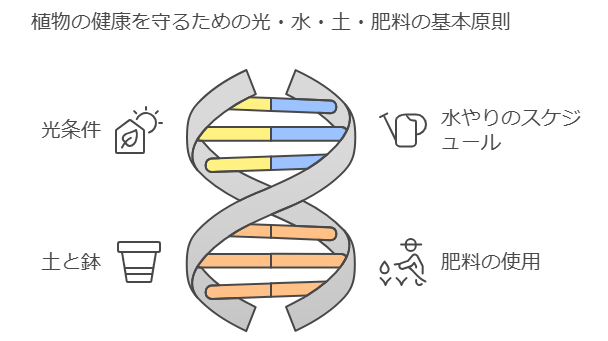 健康を保つための水、土、肥料原則