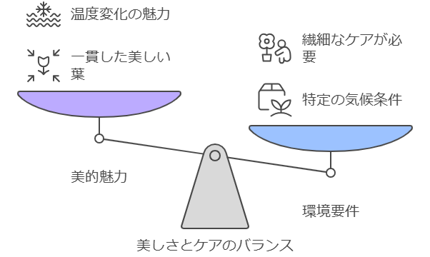 京の華のメリットと注意点