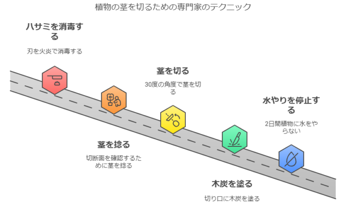植物の茎を切るための専門家のテクニック