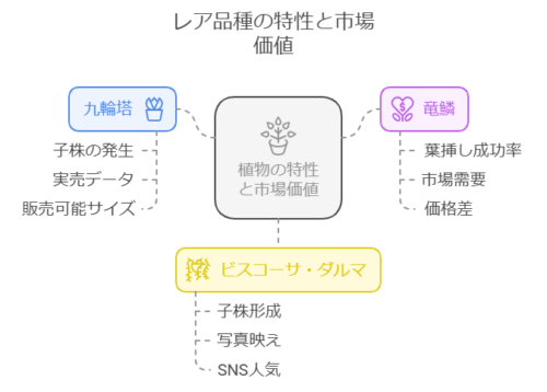 レア品種特性と市場価値