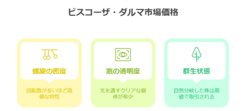 ビスコーザ・ダルマ価格変動要因