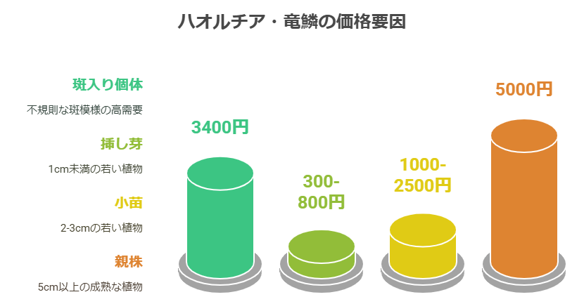 竜鱗の価格要因