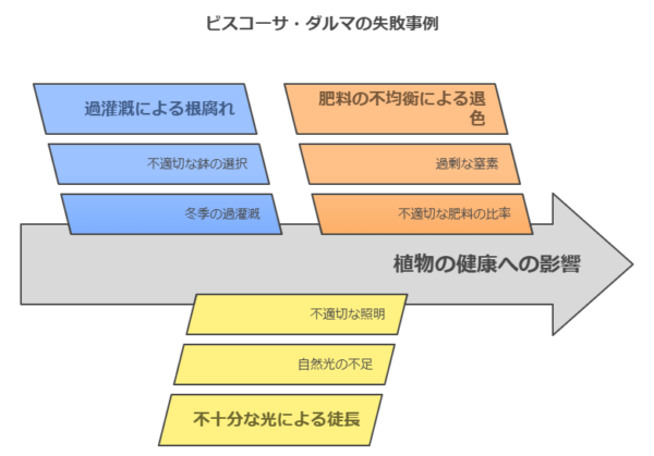 ビスコーザ・ダルマ失敗事例