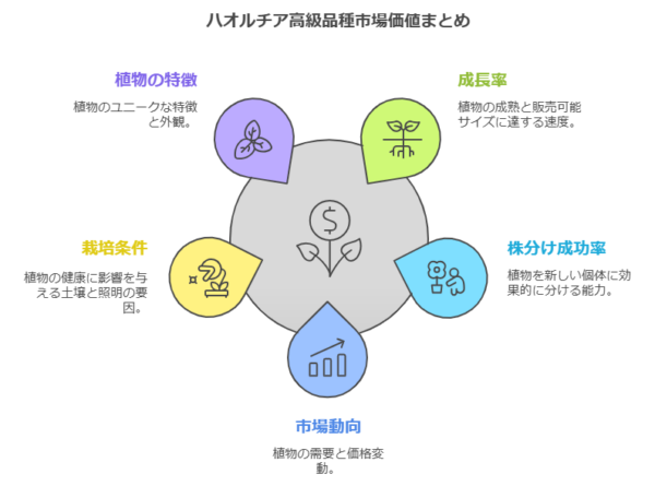 市場価値まとめ