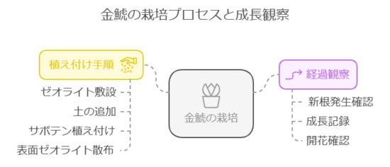 栽培プロセス実例