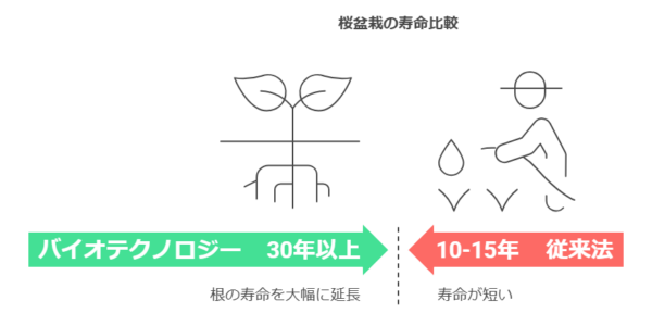 寿命比較　バイオテクノロジー