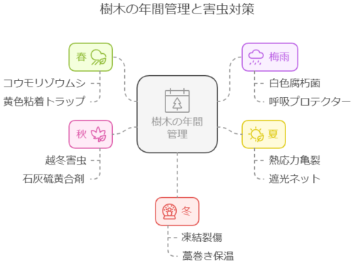 木の年間管理と害虫対策