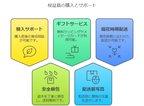 桜盆栽購入サポート