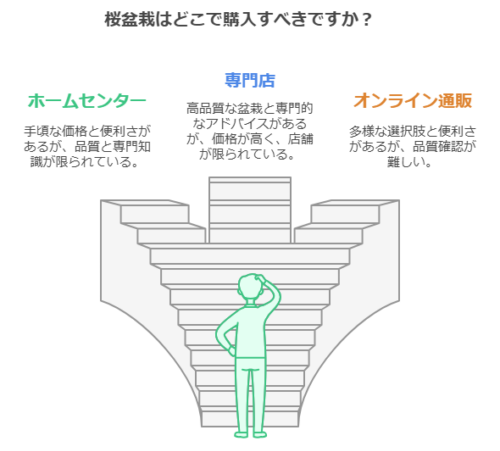 桜盆栽どこで購入すべき？