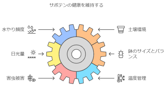 サボテンの健康を維持するチェックリスト