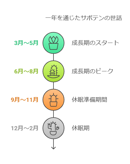 1年を通じたサボテンの世話