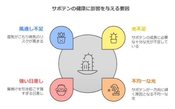 サボテンに影響を与える要因