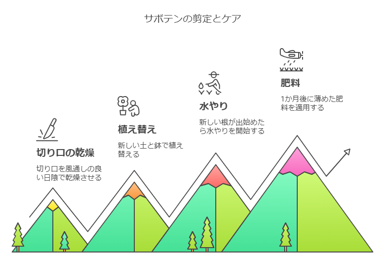 サボテンの剪定とケア