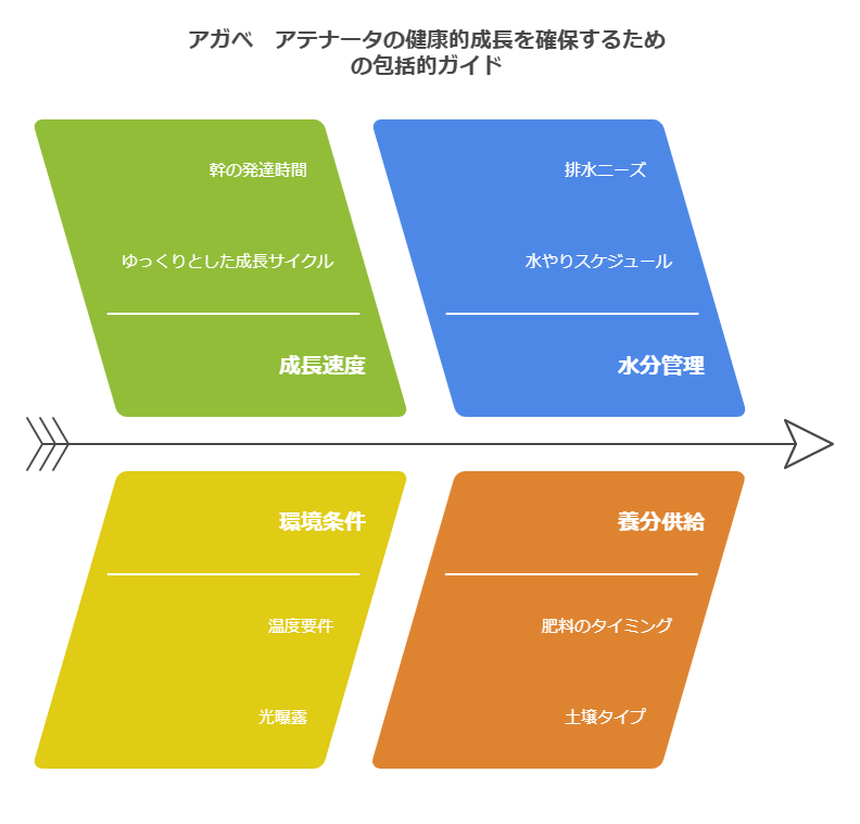 アガベ　アテナータの健康的成長を確保するための包括