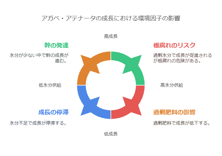 アテナータの成長における環境因子の影響