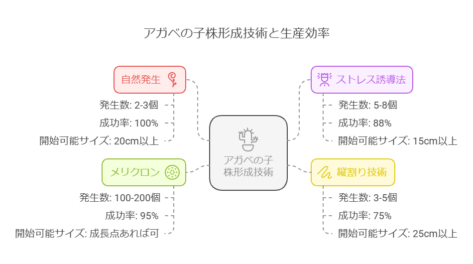 アガベの子株形成技術と生産効率