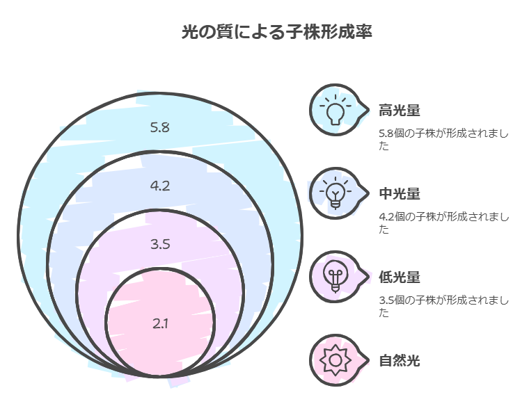 光の質によるアガベ子株形成率