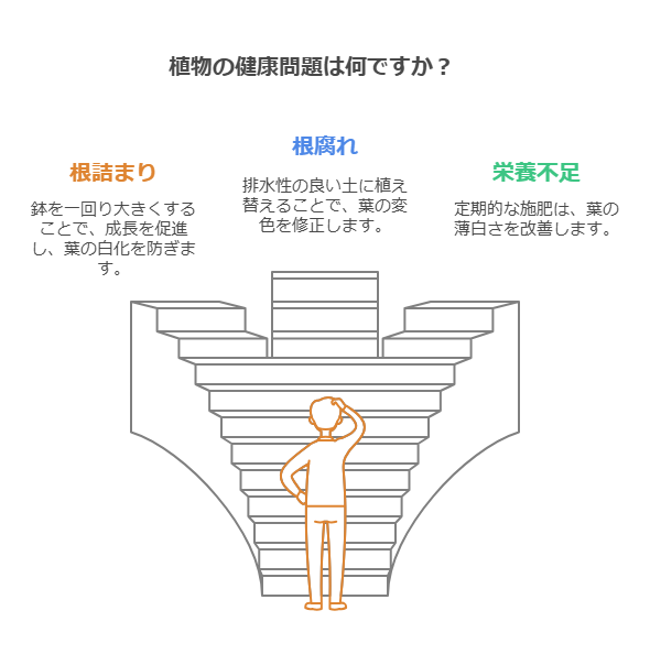 アガベの健康に与える原因は