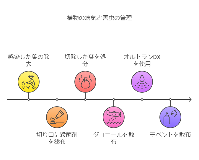 病害虫の管理