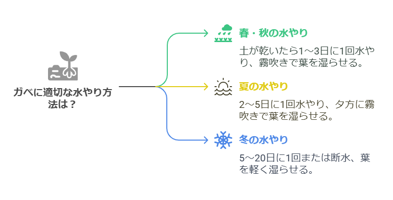 季節ごとのアガベ水やり