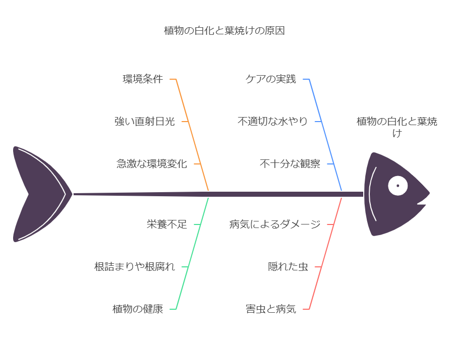 アガベの白くなる原因まとめ