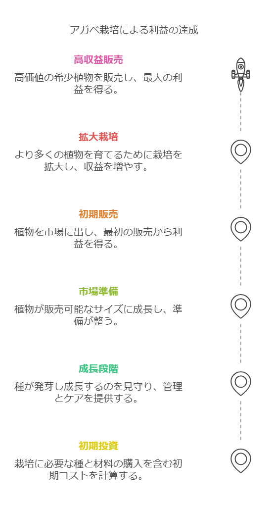 アガベ栽培による利益の達成