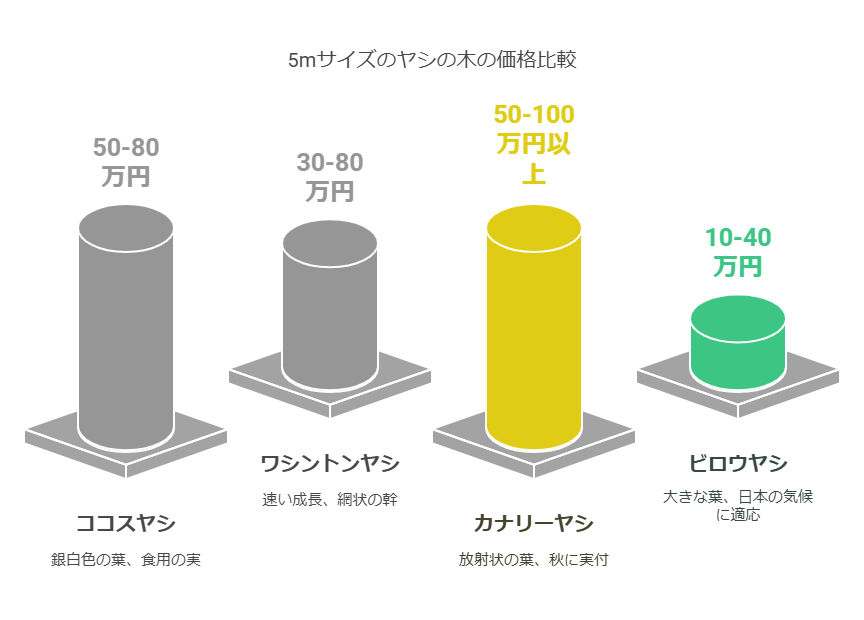 5mのヤシの木の値段相場と選び方！理想のリゾート空間を自宅に