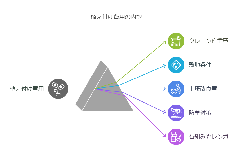 ヤシの木　５ｍ　値段　植え付け　内訳